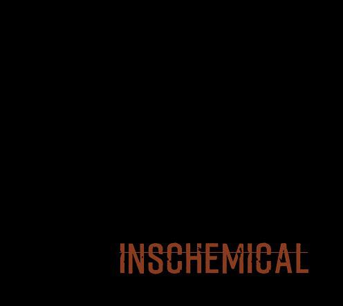 Inschemical cover disco
